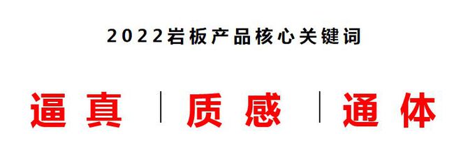 彭金生：岩板PP电子 PP电子平台天生是高端定位研发逻辑有七大维度｜演讲录(图10)