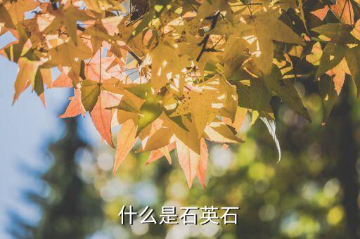 PP电子 PP电子平台石英石什么是石英石(图1)